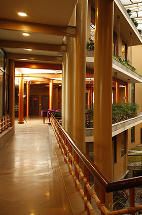 Jivagram - Highlights